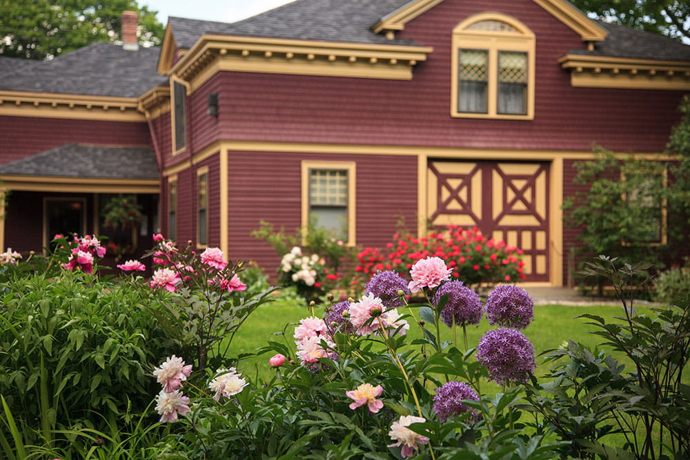 Flower bushes outside the Berry Manor Inn