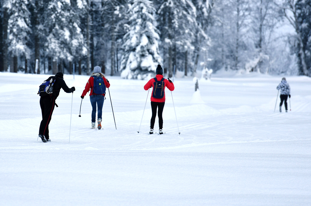 People enjoying cross-country skiing, one of the best things to do in Rockland, Maine in the winter